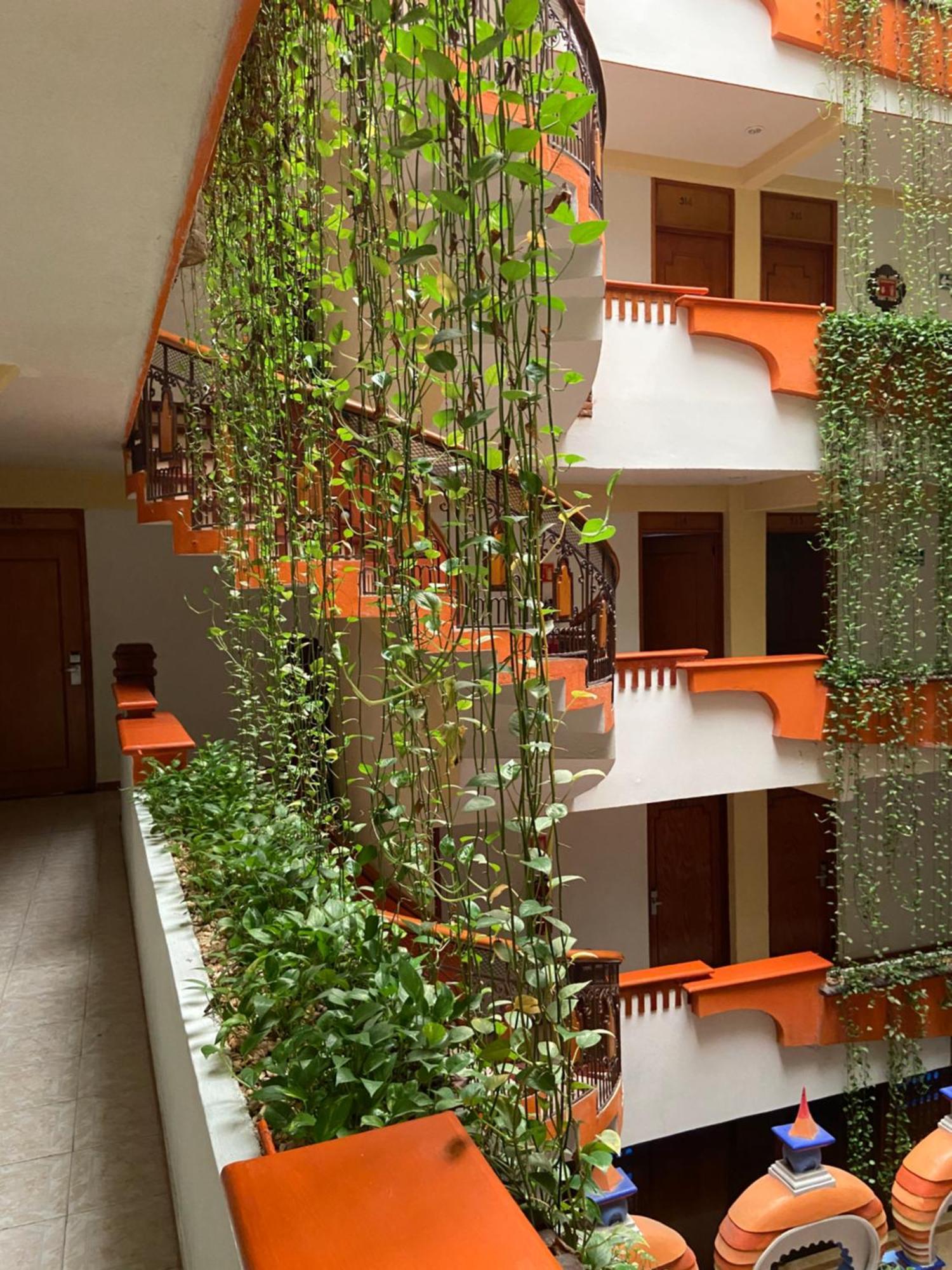 Hotel Baez Carrizal Villahermosa Eksteriør bilde